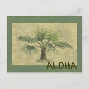 Cartão Postal Cartão-postal Palmas ALOHA