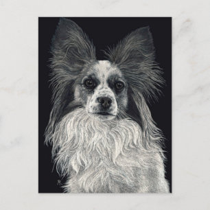 Cartão Postal Cartão-postal Papillon - "Sparkles"