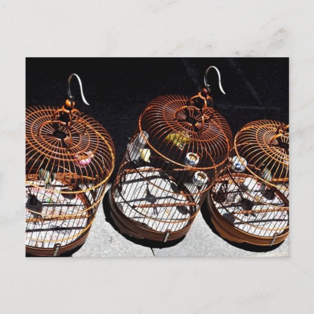 Cartão Postal Cartão-postal para 3 Pequenas Aves na China (Frente)