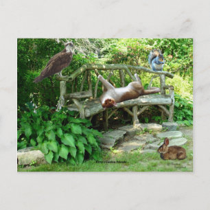 Cartão Postal Cartão-postal para amigos da vida selvagem de Kitt