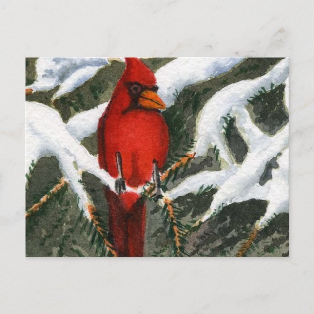 Cartão Postal Cartão-postal para animais (Frente)