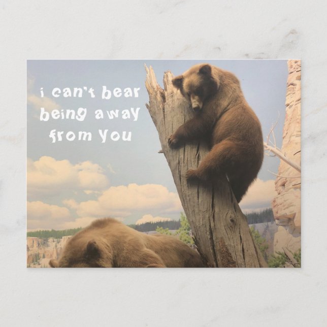 Cartão Postal Cartão-postal para animais ausente (Frente)