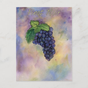Cartão Postal Cartão-postal para as Uvas Pinot Noir