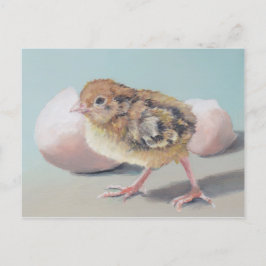 Cartão Postal Cartão-postal para aves Pintinhos