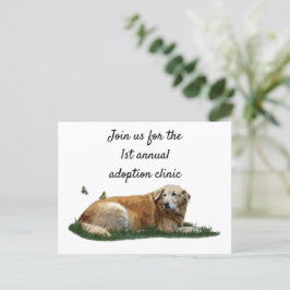 Cartão Postal Cartão-postal para cães de raça mista Labrador ama