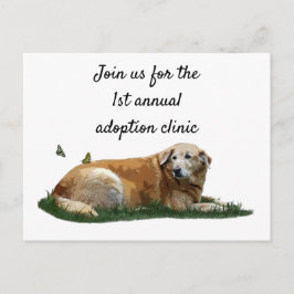 Cartão Postal Cartão-postal para cães de raça mista Labrador ama