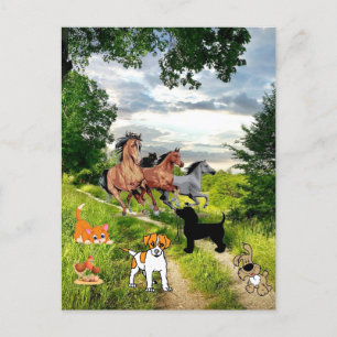 Cartão Postal Cartão-postal para cães e gatos-do-galinha