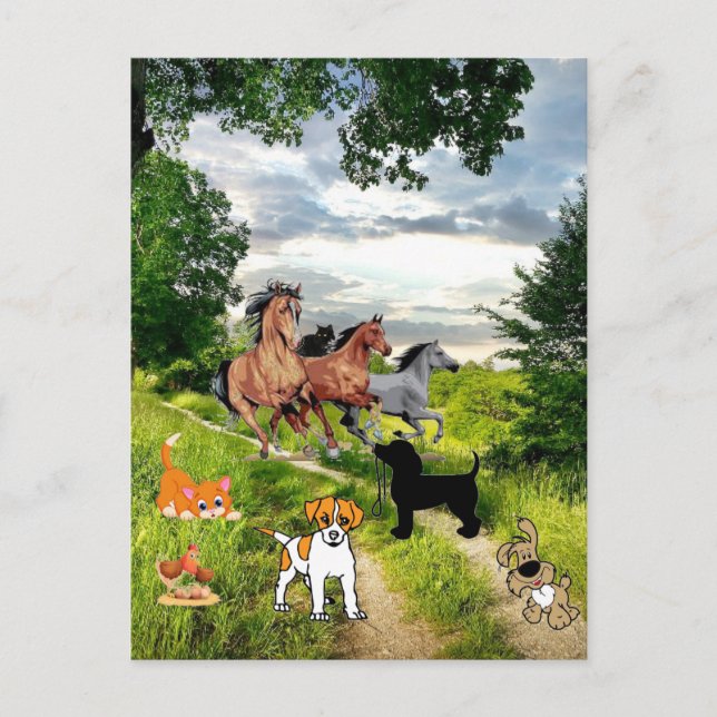 Cartão Postal Cartão-postal para cães e gatos-do-galinha (Frente)