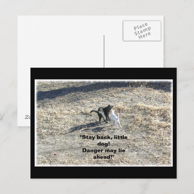 Cartão Postal Cartão-postal para cães para trás (Frente/Verso)
