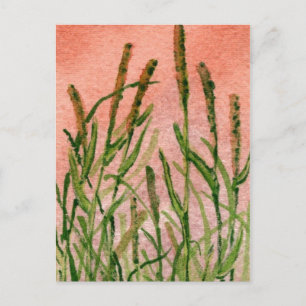 Cartão Postal Cartão-postal para estradas nacionais "Hay Someday