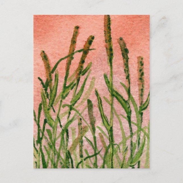 Cartão Postal Cartão-postal para estradas nacionais "Hay Someday (Frente)