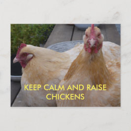 Cartão Postal Cartão-postal para Manter Calmo e Levantar Galinha