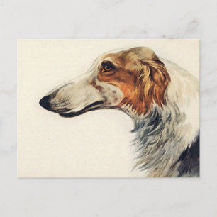 Cartão Postal Cartão-postal para o aviso de nomeação veterinária