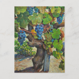 Cartão Postal Cartão-postal para o produtor de 100 anos