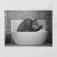 Cartão-postal para o ursinho de bathtub