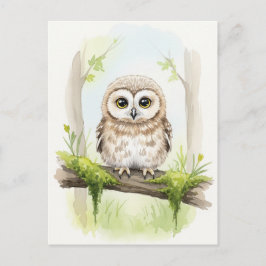 Cartão Postal Cartão-postal para os animais selvagens de moça