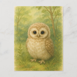 Cartão Postal Cartão-postal para os animais selvagens de moça