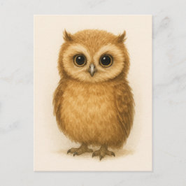 Cartão Postal Cartão-postal para os animais selvagens de moça