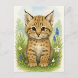 Cartão Postal Cartão-postal para os bebês Bobcat Kitten Cat Baby