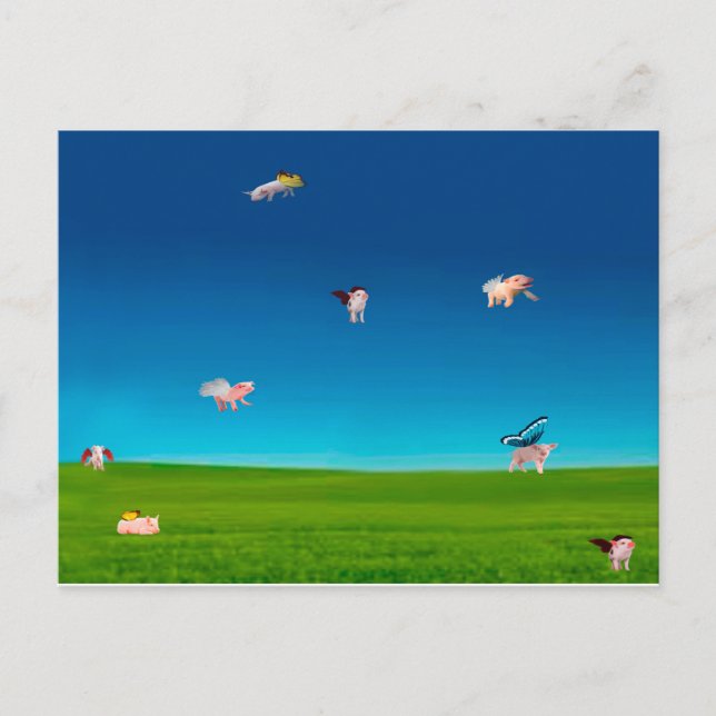 Cartão Postal Cartão-postal para suínos voadores (Frente)