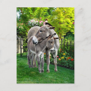 Cartão Postal Cartão-postal "Páscoa e Bebê Eno"