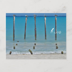Cartão Postal Cartão-postal Pelicano Posta Aruba