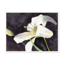 Cartão-postal pequeno de 4,25" x 5,6"