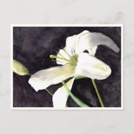 Cartão Postal Cartão-postal pequeno de 4,25" x 5,6"