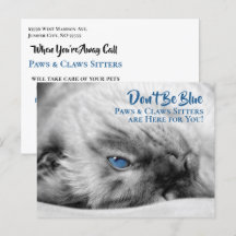 Cartão-postal personalizado de Sitter Siamês Azul