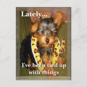 Cartão Postal Cartão-postal personalizável com todas as ligaç