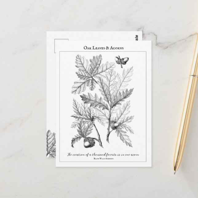 Cartão Postal Cartão-postal Personalizável de Cotação Oak Leaves (Frente/Verso In Situ)