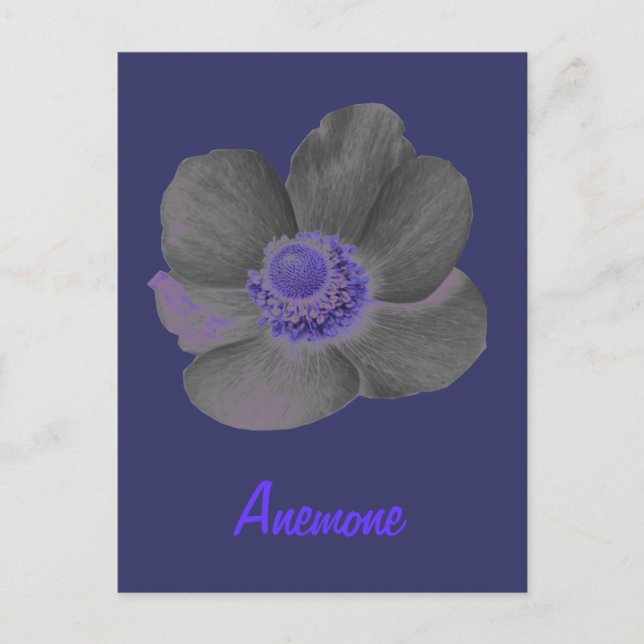 Cartão Postal Cartão-postal Personalizável de Flor Anemone Sonho (Frente)