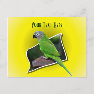 Cartão Postal Cartão-postal Personalizável de Papagaio Cortado