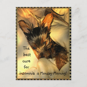 Cartão Postal Cartão-postal personalizável do Yorkie com sono