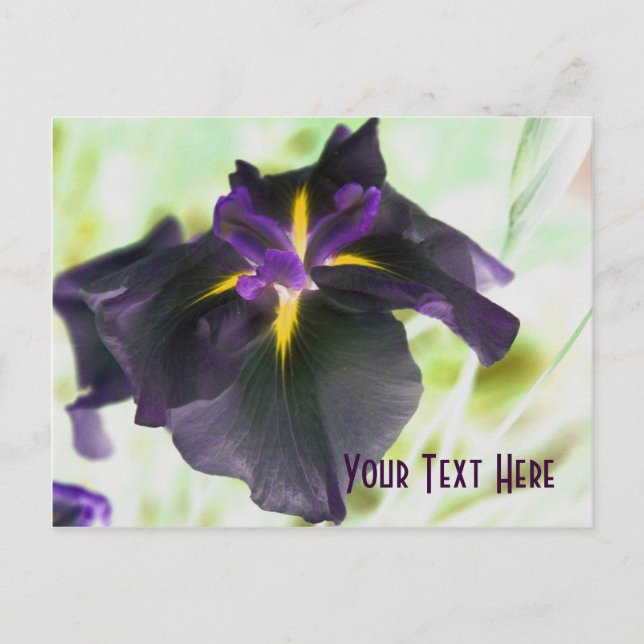 Cartão Postal Cartão-postal Personalizável Floral Iris Floral (Frente)
