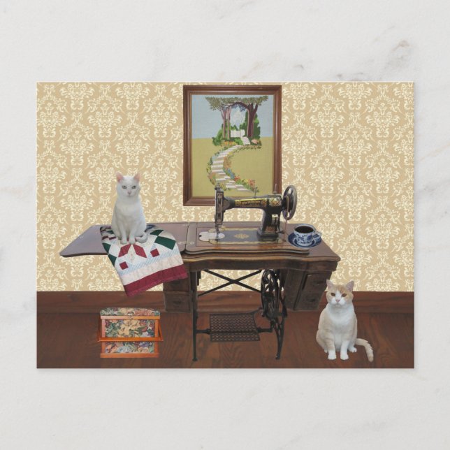 Cartão Postal Cartão-postal personalizável para Seamstress e Qui (Frente)