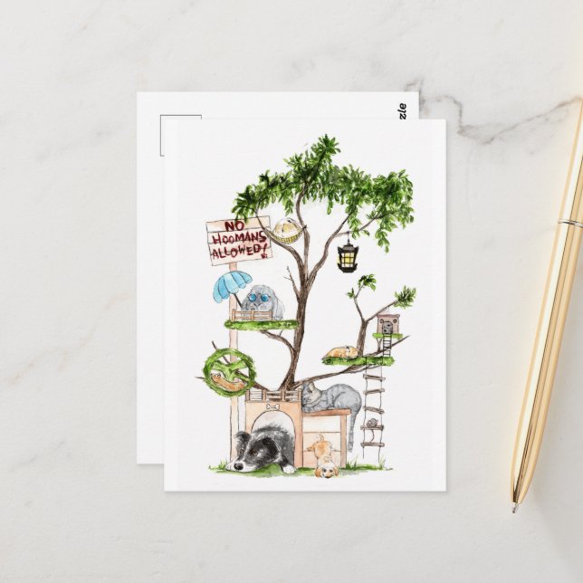 Cartão Postal Cartão-postal Pet Clubhouse - DNM (Frente/Verso In Situ)