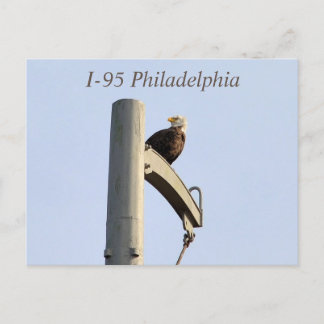 Cartão Postal Cartão-postal Philadelphia Bald Eagle