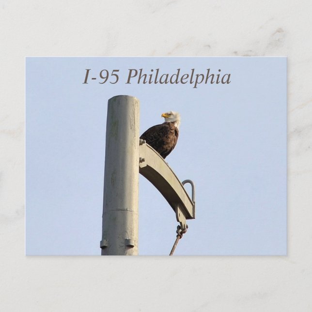 Cartão Postal Cartão-postal Philadelphia Bald Eagle (Frente)