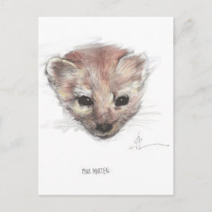 Cartão Postal Cartão-postal Pine Marten