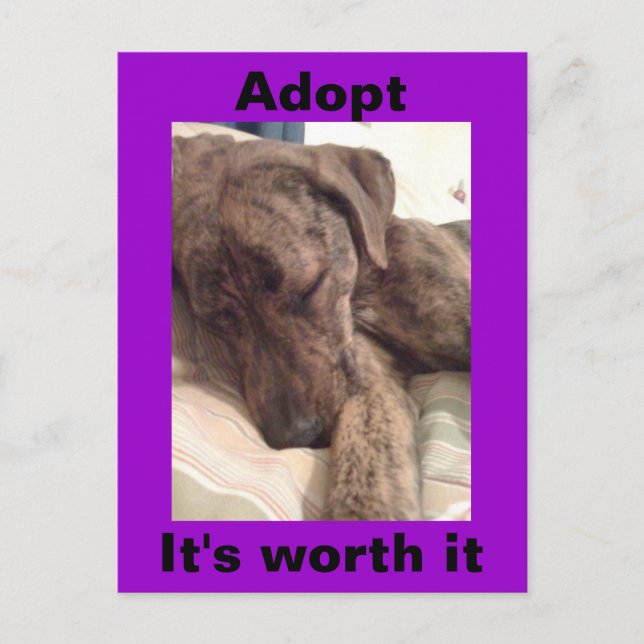 Cartão Postal Cartão-postal Plott Hound (Frente)