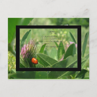 Cartão Postal Cartão-postal Poem Ladybug