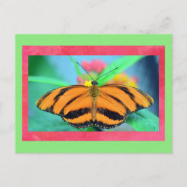 Cartão Postal Cartão-postal pontiagudo com borboleta