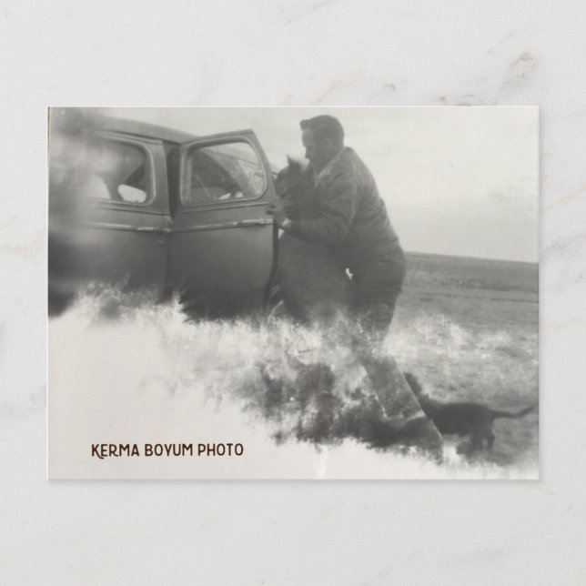 Cartão Postal Cartão-postal Pony no carro (Frente)