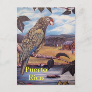 Cartão Postal Cartão-postal Porto Rico