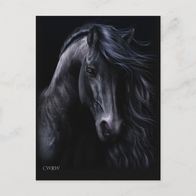 Cartão Postal Cartão-postal preto (Frente)