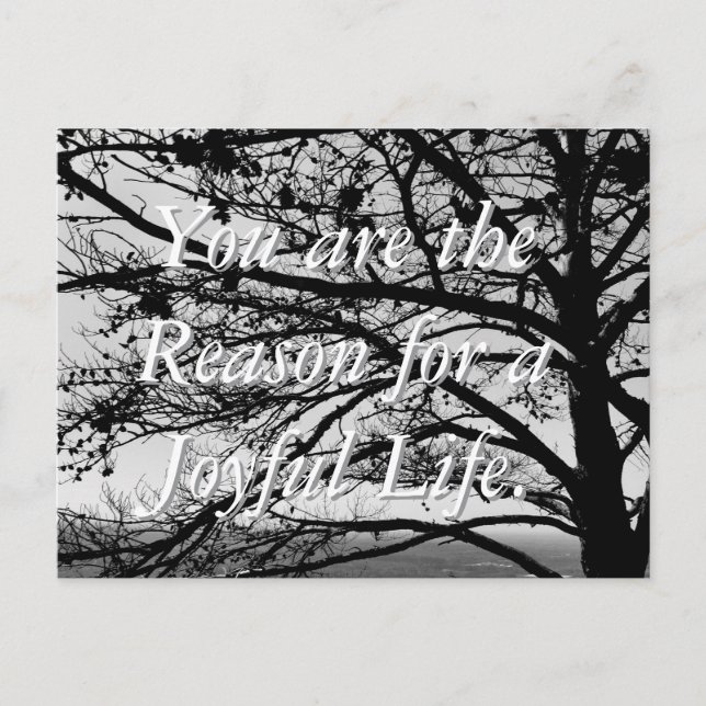 Cartão Postal Cartão-postal preto e branco da natureza padrão (Frente)