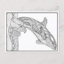 Cartão-postal preto e branco da Orca