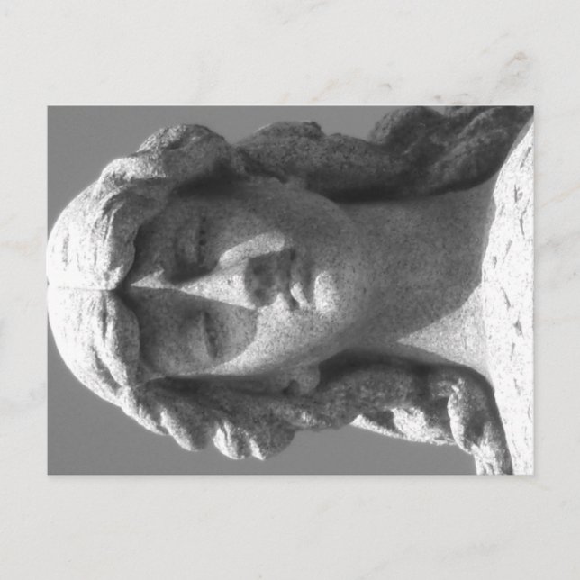 Cartão Postal Cartão-postal preto e branco do último Rosa 3 (Frente)