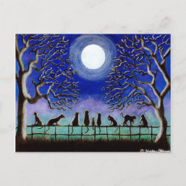 Cartão Postal Cartão-postal,Preto,felinos,paisagem,dia a dia,Hal